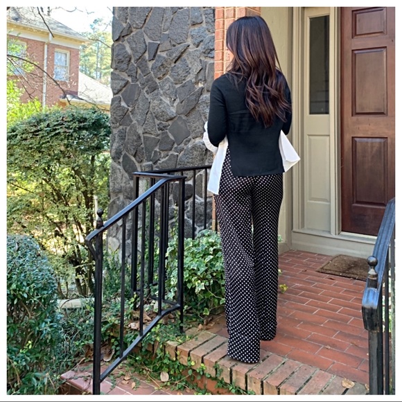 ✨LAST ONE ✨Wide leg polka dot palazzo pants - Picture 4 of 8